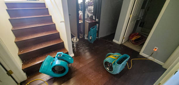 Best Local water damage restoration  in Wellston, OH